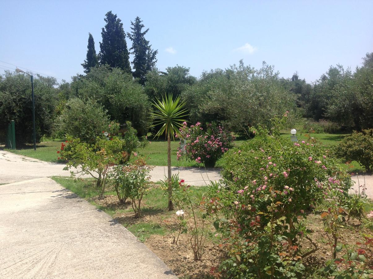 Yianetta Hotel Apartments Kavos Luaran gambar